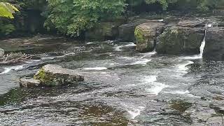 Aysgarth Falls Upper falls Yorkshire Dales North Yorkshire [upl. by Herates]