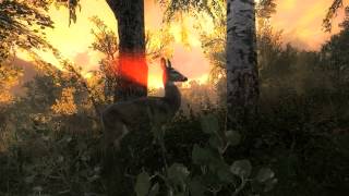 theHunter Classic  Official Trailer HD [upl. by Nocam]