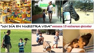 Vlog diario  SEMANA 13 EMBARAZO GEMELAR  La postquedada de Safari y vuelta a Pamplona [upl. by Nnodnarb]