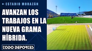 Buen avance En casi un 80 está el proceso de cosido de la grama híbrida del Estadio Morazán [upl. by Suirradal]