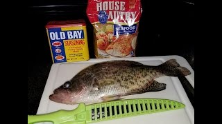 Catch and Cook Crappie  DMV Style [upl. by Yde531]