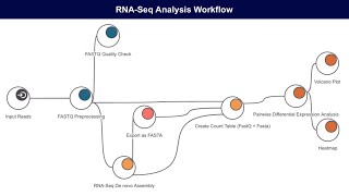 RNASeq Features in OmicsBoxBlast2GO [upl. by Ganny]