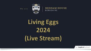 Reddam House Berkshire  Living Eggs 2024  Live Stream  Day 3 [upl. by Swart644]