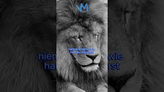 Niemand sieht es successmindset motivation millionairesuccesshabits moneymindset quotes [upl. by Alick]