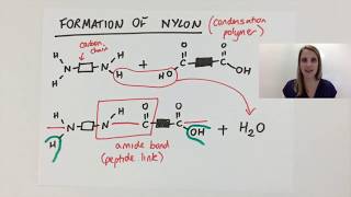 Simple Condensation polymerisation polymer explained using nylon GCSE [upl. by Htir872]