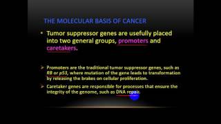 Pathology  drTahseen  Carcinogenesis 1 تكون الأورام [upl. by Aminta]