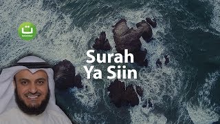 Surah YASIN Merdu dan Menyejukkan  Mishari Rasyid AlAfasy  Tadabbur Daily [upl. by Lirrad]