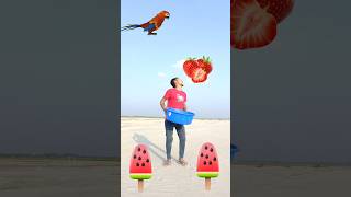 Flying crying babies Catching vs hen parrot amp puppy amp yellow lizard funny short [upl. by Gnahc]