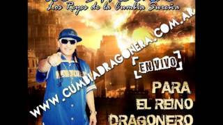 Los Dragones  Mi Gente  Para Todo El Reino Dragonero Parte 10 [upl. by Brunhilda]