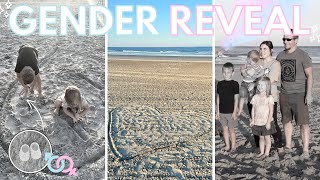 Its a 🩵🩷 GENDER REVEAL AT THE BEACH [upl. by Dyol]