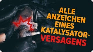 Wie man einen Katalysator überprüft  AUTODOCTipps [upl. by Akinyt]