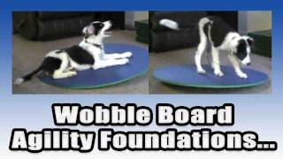 Teeter Agility Foundations Part 1  Wobble Board [upl. by Ahsiem]