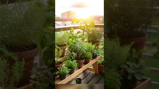 Low light plants plants homegardeningtips indoorplants easygardening hardyplants [upl. by Peppie]