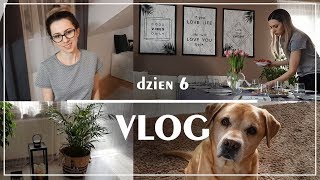 Vlog Tygodniowy Dzień 6  IKEA przystawki imieniny [upl. by Yerxa]