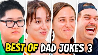 Dad Jokes  Dont laugh Challenge  Best Moments 3  Raise Your Spirits [upl. by Retsub]