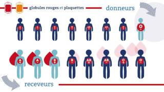 EFS  La compatibilite des groupes sanguins [upl. by Turk]