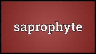 Saprophyte Meaning [upl. by Lumpkin248]