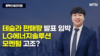 종목의 발견자들 테슬라 판매량 발표 임박 LG에너지솔루션 모멘텀 고조  머니투데이방송 증시 증권 [upl. by Coulter]