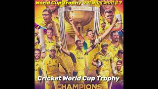 World Cup Trophy कैसे बनता है  cricket  trophy  worldcup2023  shorts [upl. by Hpesoy550]