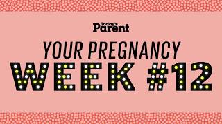 Your pregnancy 12 weeks [upl. by Ecerahs]