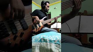 Sade  Smooth Operator 1984 Bass Cover [upl. by Chane]