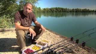 Mainline Bait  High Impact Range Boilies [upl. by Pooley188]