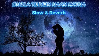 Dhole Te Mein Haan Katha  Slowed amp Reverb  Akram Faridi amp Sajjad Faridi  Punjabi Saraiki Songs [upl. by Monda118]