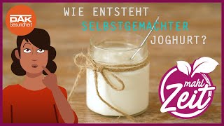 Wie entsteht Joghurt  mahlZeit  DAKGesundheit [upl. by Murrah]