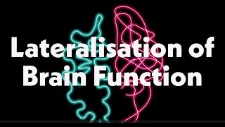 Lateralisation of Brain Function [upl. by Bopp588]