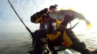 Kayak Conger fishing [upl. by Cud]