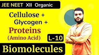 L10 Cellulose  Glycogen  Proteins Intro of Amino Acids  Biomolecules  JEE NEET [upl. by Ardnal739]