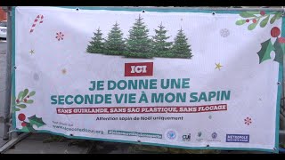 Lancement de l’opération de collecte de sapins en enclos 2024 [upl. by Yesnek]