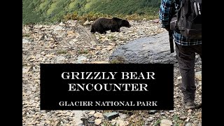 Grizzly Encounter  Highline Trail Glacier National Park Autumn 2021  spectacular hike 4K [upl. by Erusaert379]