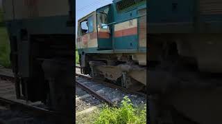 Diesel Engines WDG4  WDG4D NonStop Horn and Sounds [upl. by Aihcrop191]