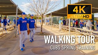 Walking Tour of the Cubs Spring Training Facility in Mesa Arizona  Baseball Ambience 4K [upl. by Halueb]