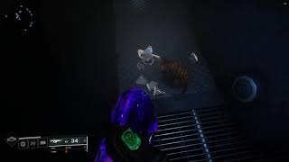 Hall of Champions secret cat and broken ghost shell  Destiny 2 Into the Light [upl. by Cony]