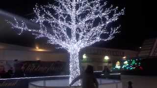 O Christmas Tree  Carol Song Music Video  O Tannenbaum Lyrics [upl. by Anima]