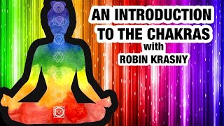 Beginners Guide to Chakras  Everything You Need to Know About Chakras [upl. by Ahsakat410]