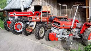 Massey Ferguson Rundgang mit 1080 135A 135 [upl. by Hgielrebmik]