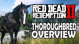 Thoroughbred Overview  Red Dead Redemption 2 Horses [upl. by Ailugram321]