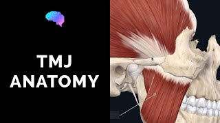 Temporomandibular Joint TMJ Anatomy  3D Anatomy Tutorial  UKMLA  CPSA [upl. by Bogoch]