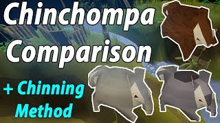 Which Chinchompa Is Best For Training Range  MM2 Range Method Old School Runescape Comparison [upl. by Mendez]