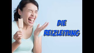 Die Reizleitung [upl. by Renard]