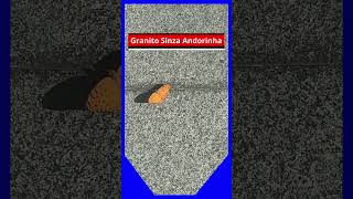 Granito Sinza Andorinha shorts [upl. by Resiak]