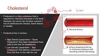 AQA A Level PE 2018  Cardiovascular System Lesson [upl. by Gayel]