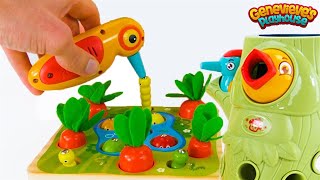 Best Toy Learning Video for Toddlers and Kids  Learn Colors and Counting in the Garden [upl. by Ainehs342]