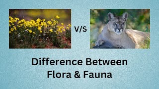 Difference Between Flora and Fauna  Forget Flora and Fauna Heres Everything You Need to Know [upl. by Jacinto]