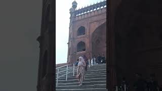 is Darwaze se Badshah Aaya Karte The Jama Masjid shorts jamamasjid shahjahan mughal history [upl. by Lirret995]