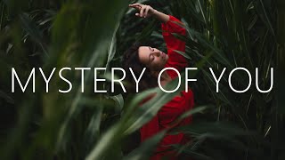 Exede  Mystery Of You Lyrics MEDZ Remix [upl. by Animlehliw]