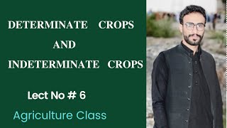 Determinate crops and Indeterminate Crops [upl. by Teufert]